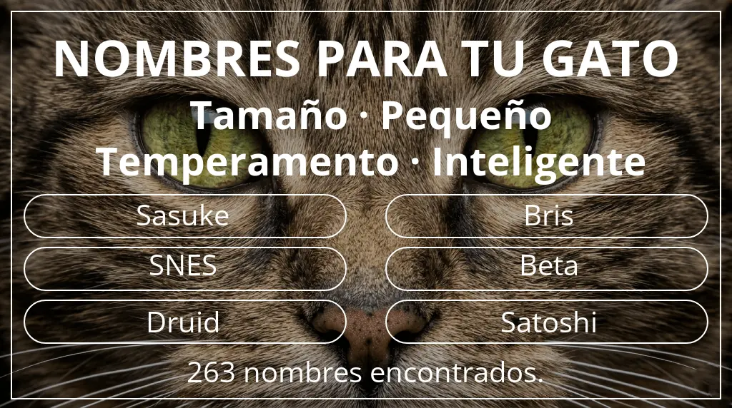 Nombres para gatos basados en tamaño pequeño y temperamento inteligente