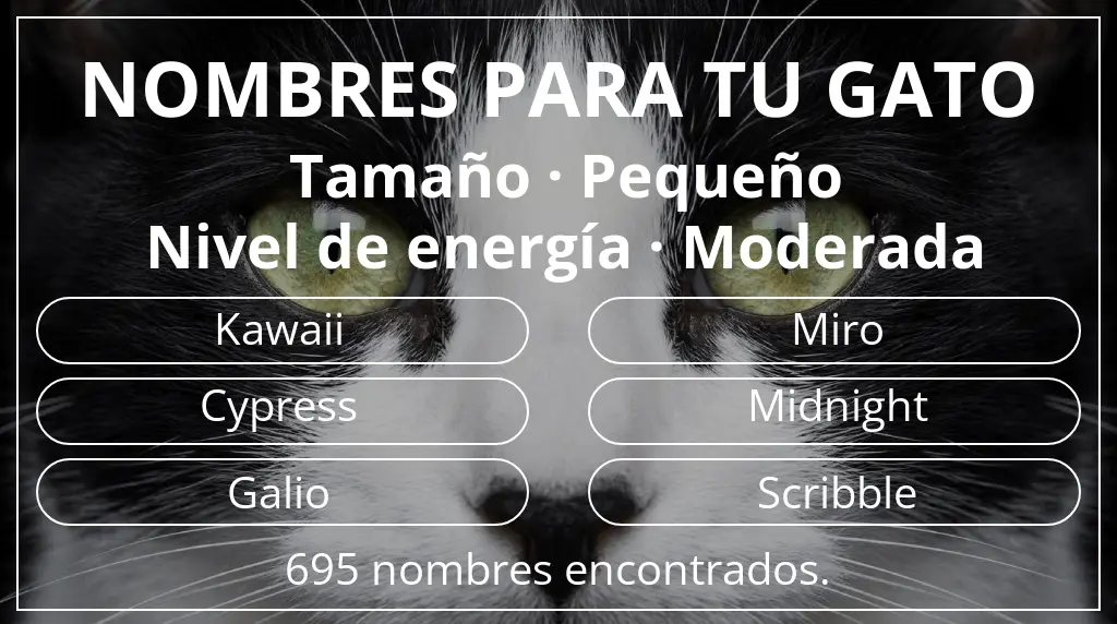 Nombres felinos inspirados en tamaño pequeño y nivel de energía moderada