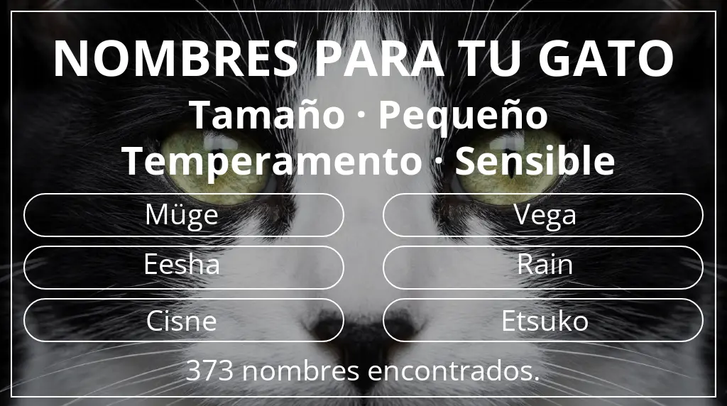 Nombres para gatos relacionados con tamaño pequeño y temperamento sensible