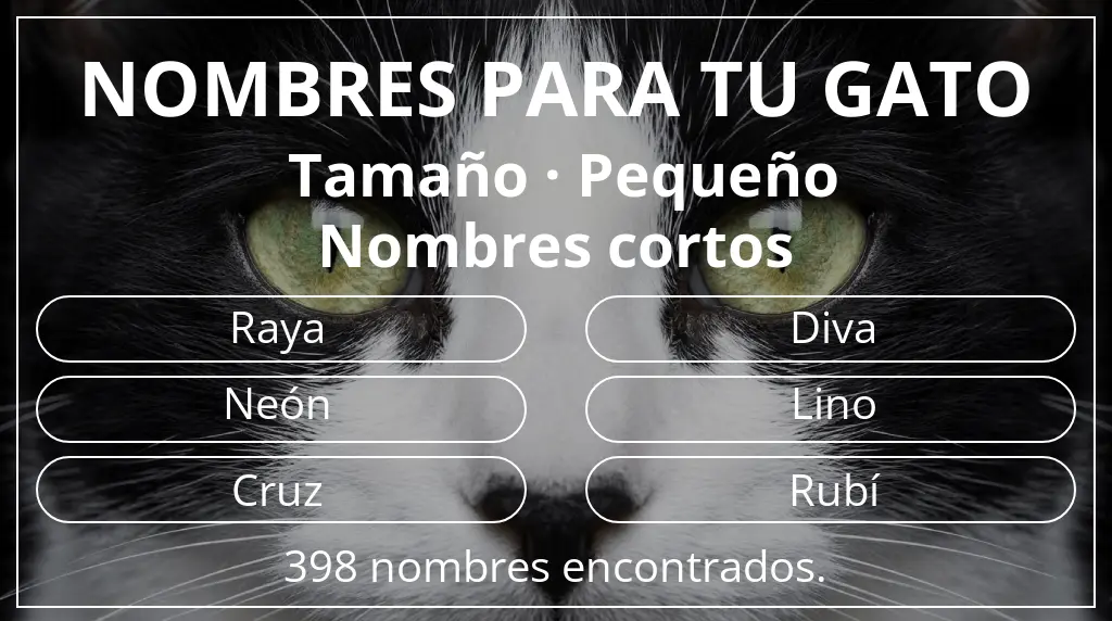 Nombres felinos basados en tamaño pequeño y longitud del nombre corto (2-4)