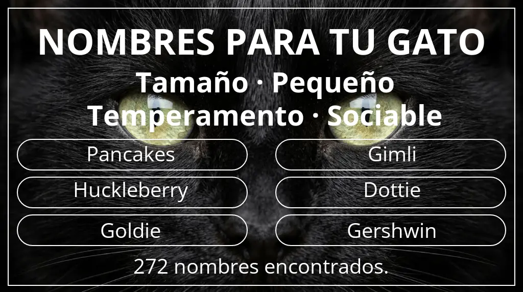 Nombres para gatos inspirados en tamaño pequeño y temperamento sociable