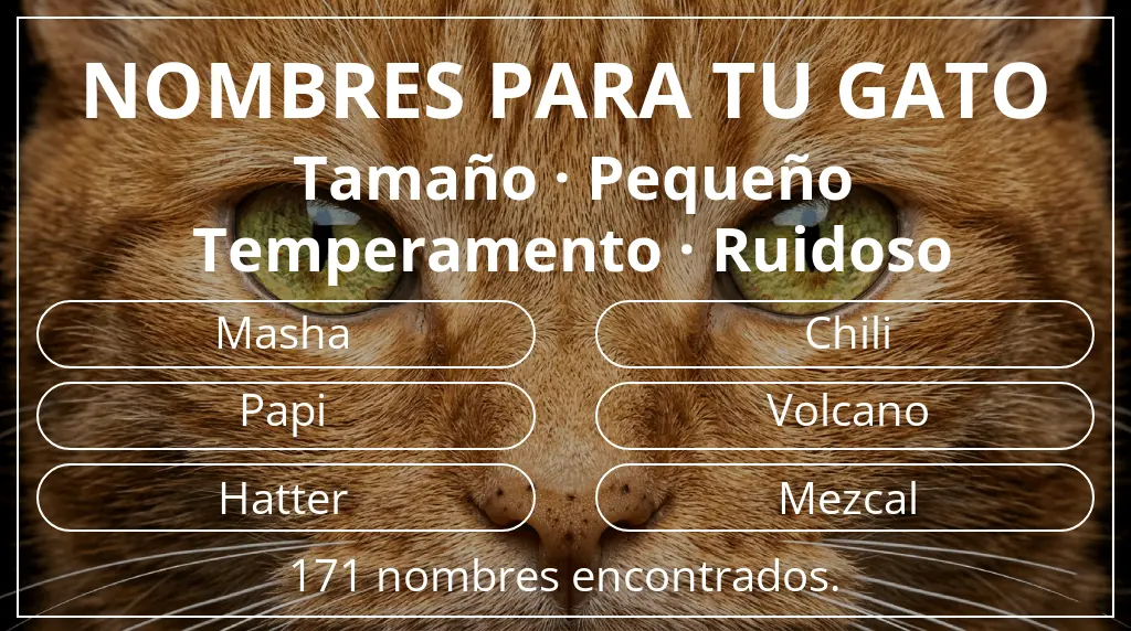Nombres para gatos relacionados con tamaño pequeño y temperamento ruidoso