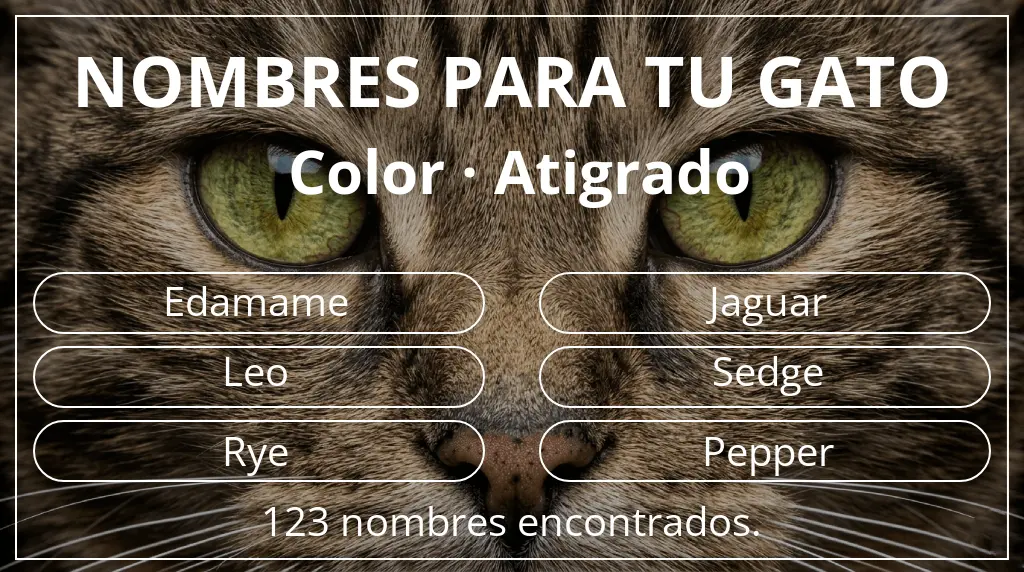 Nombres para gatos inspirados en color atigrado
