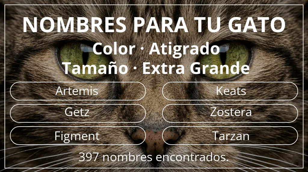 Nombres felinos basados en color atigrado y tamaño extra grande