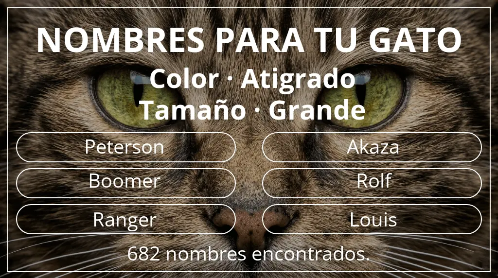 Nombres felinos relacionados con color atigrado y tamaño grande