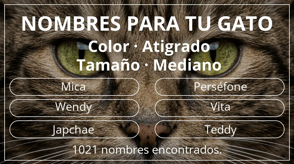 Nombres felinos relacionados con color atigrado y tamaño mediano