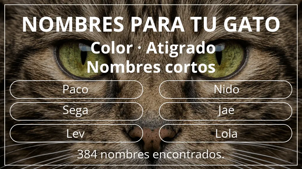 Nombres felinos inspirados en color atigrado y longitud del nombre corto (2-4)