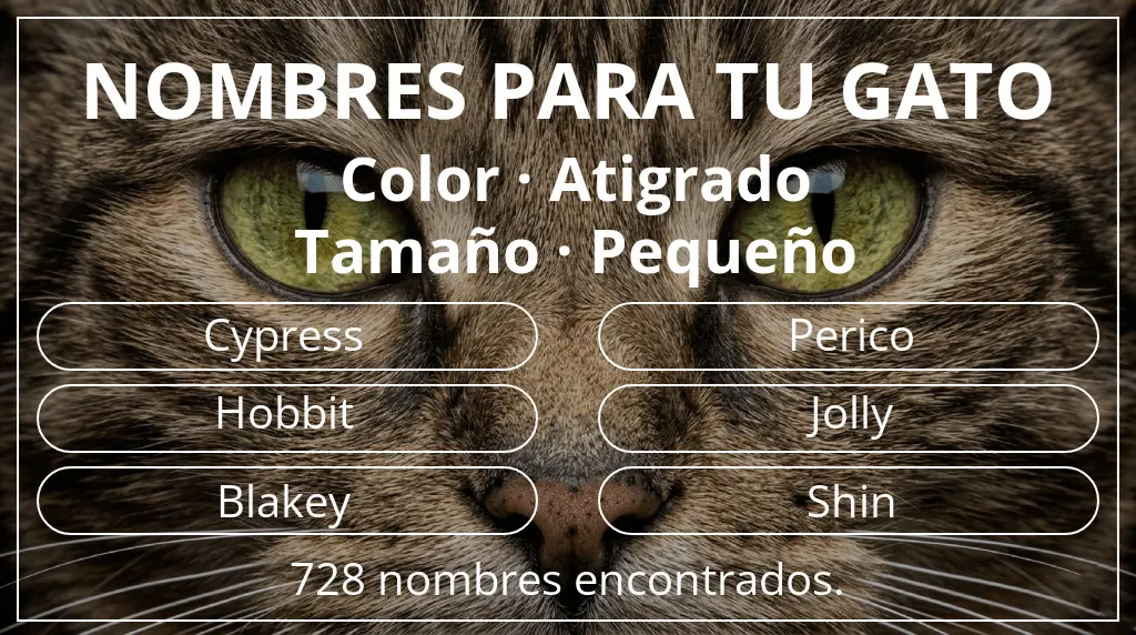 Nombres felinos inspirados en color atigrado y tamaño pequeño