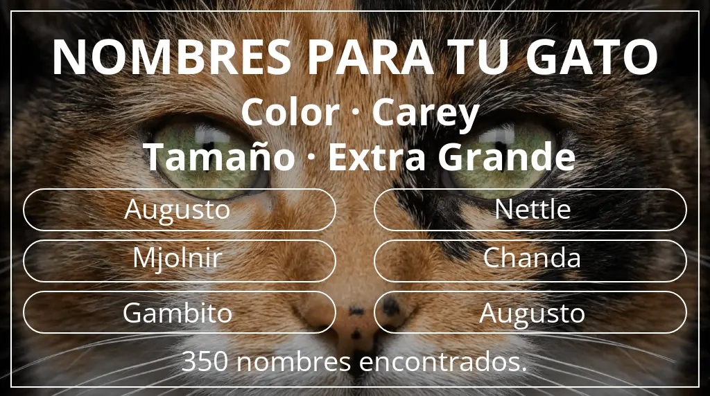 Nombres felinos inspirados en color carey y tamaño extra grande