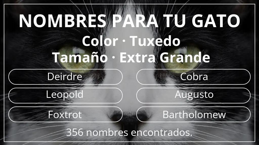 Nombres para gatos relacionados con color tuxedo y tamaño extra grande