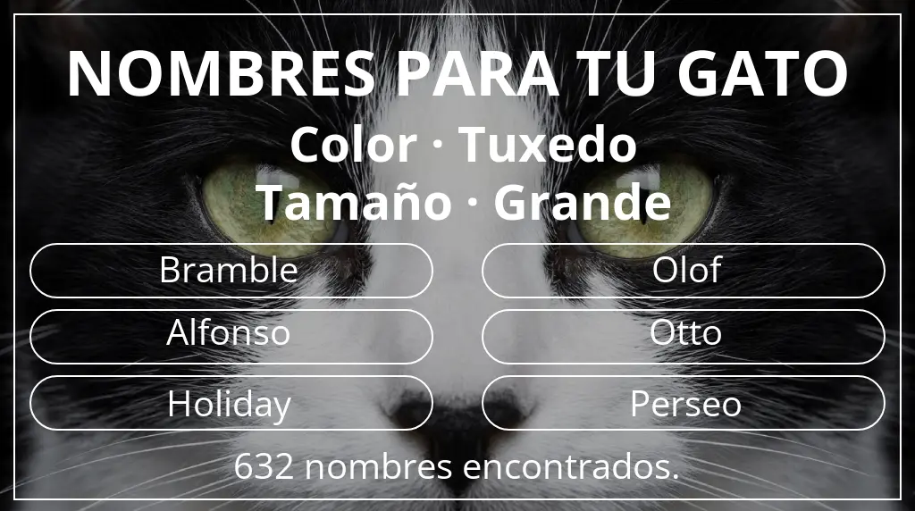 Nombres para gatos relacionados con color tuxedo y tamaño grande