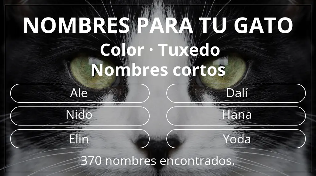 Nombres para gatos inspirados en color tuxedo y longitud del nombre corto (2-4)