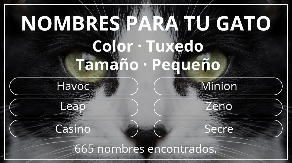 Nombres felinos relacionados con color tuxedo y tamaño pequeño