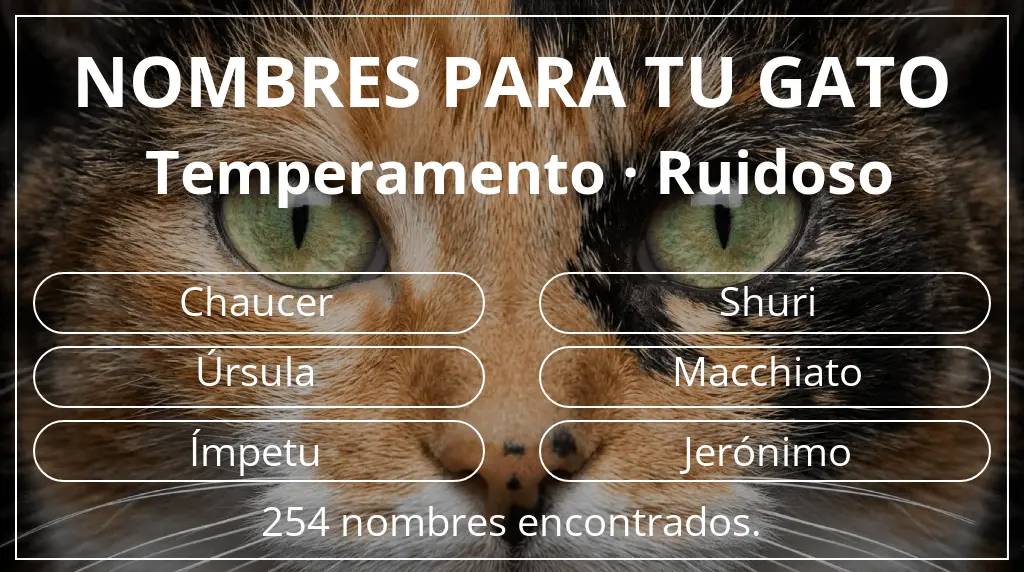 Nombres felinos relacionados con temperamento ruidoso