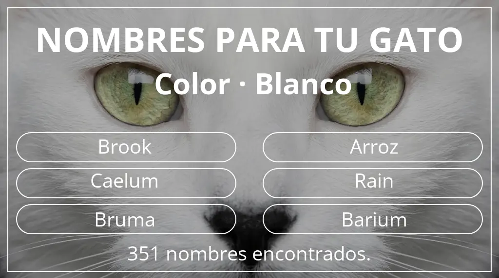 Nombres para gatos inspirados en color blanco