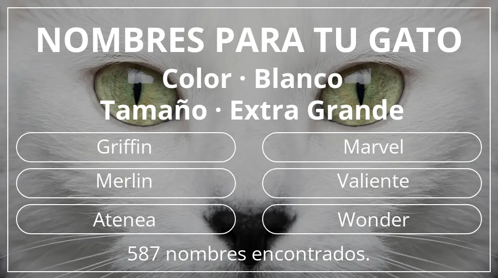 Nombres para gatos relacionados con color blanco y tamaño extra grande