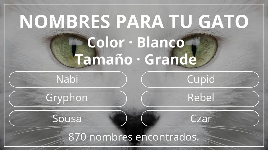 Nombres felinos inspirados en color blanco y tamaño grande