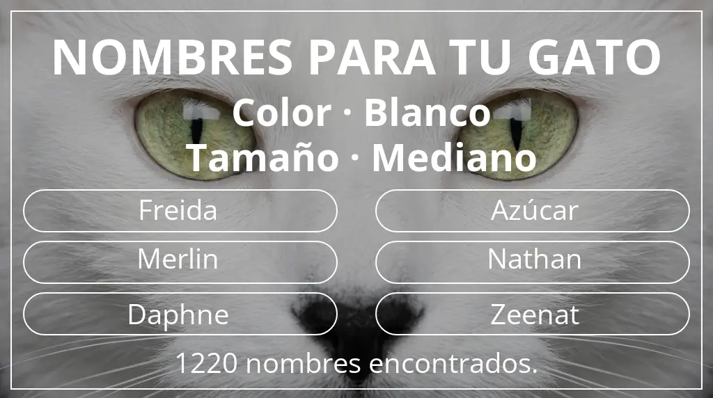 Nombres para gatos basados en color blanco y tamaño mediano