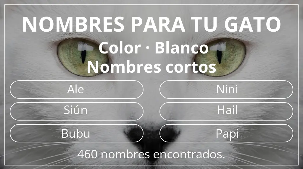 Nombres para gatos basados en color blanco y longitud del nombre corto (2-4)