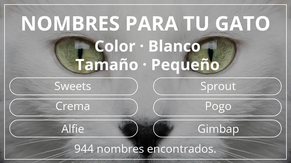 Nombres felinos basados en color blanco y tamaño pequeño