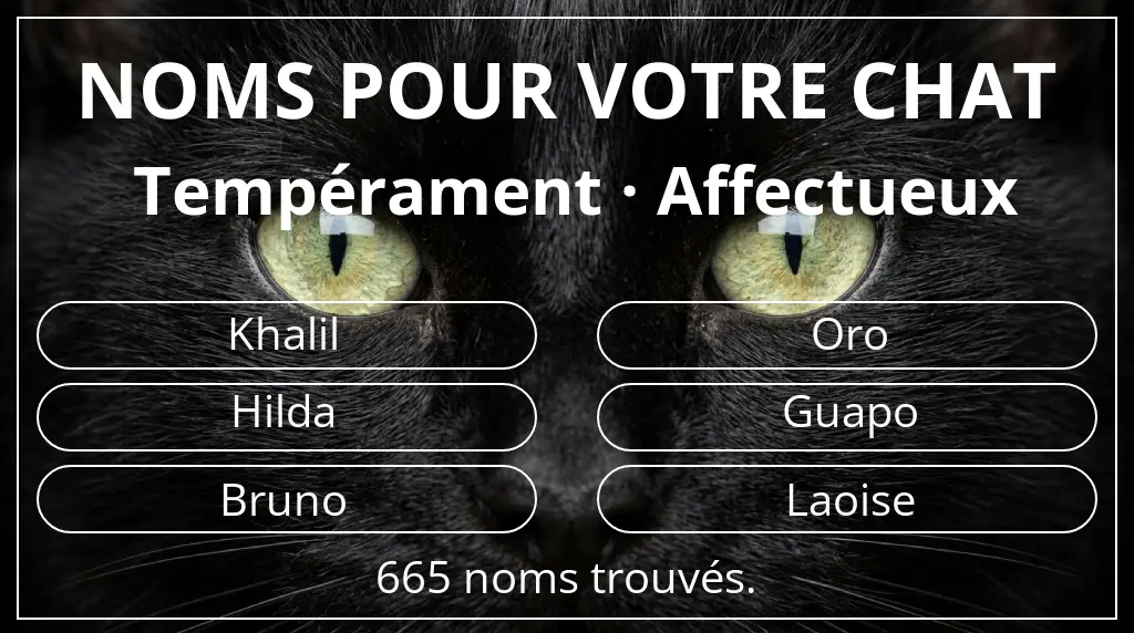 Noms félins basés sur tempérament affectueux