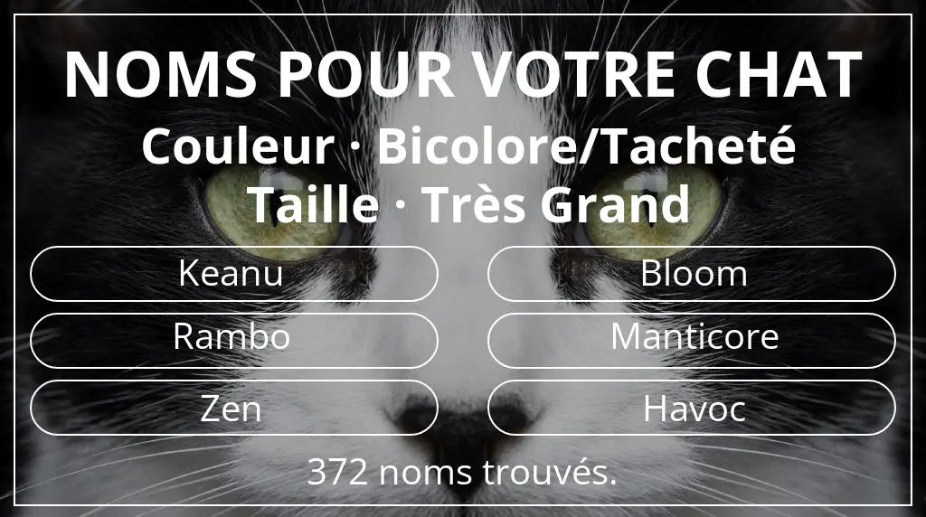 Noms félins basés sur couleur bicolore/tacheté et taille très grand