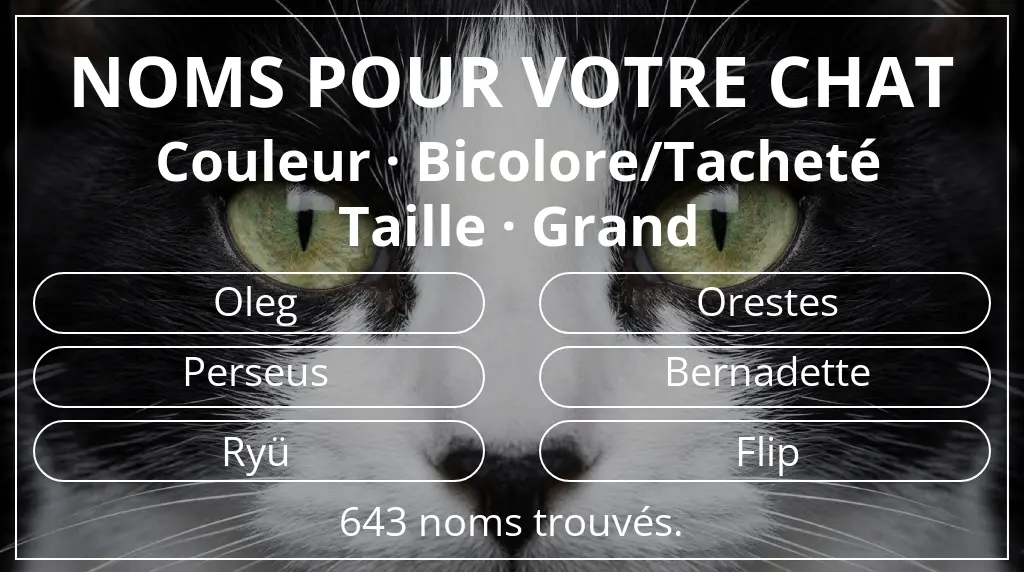 Noms pour chats basés sur couleur bicolore/tacheté et taille grand