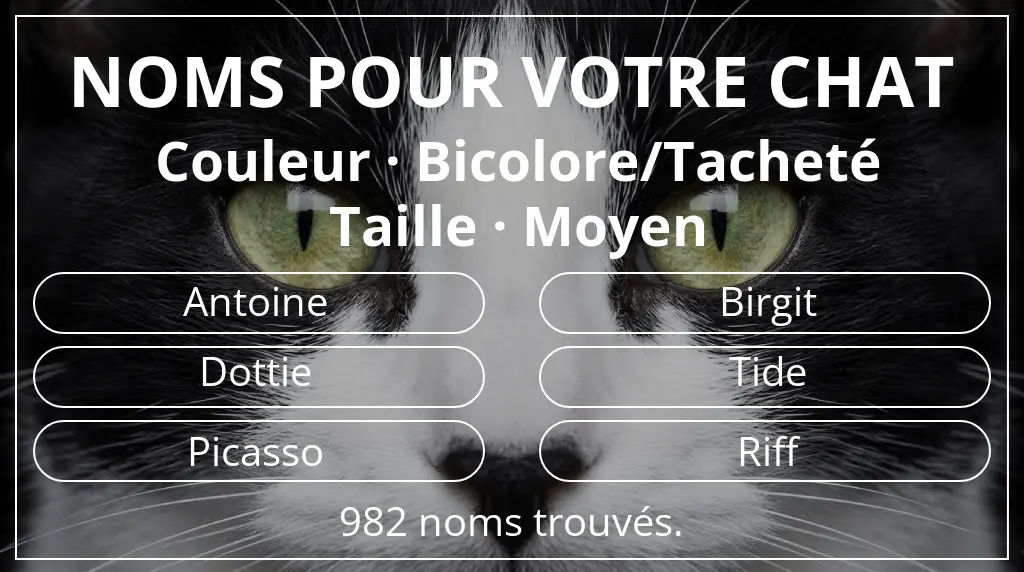 Noms félins en lien avec couleur bicolore/tacheté et taille moyen