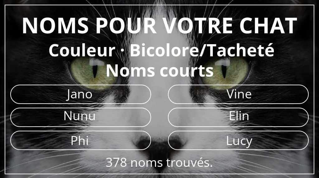 Noms de chats basés sur couleur bicolore/tacheté et longueur du nom court (2 à 4)