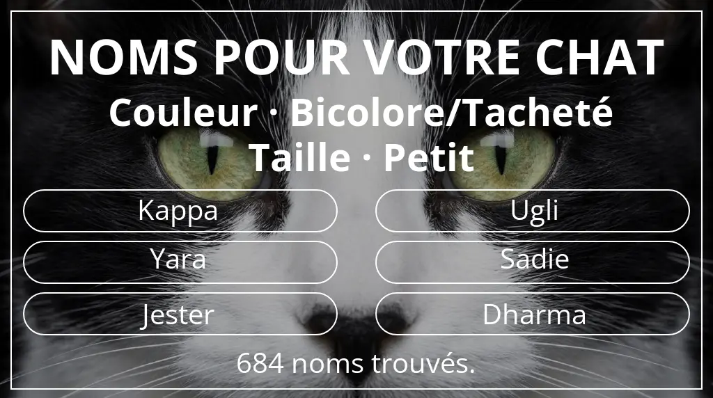 Noms de chats basés sur couleur bicolore/tacheté et taille petit