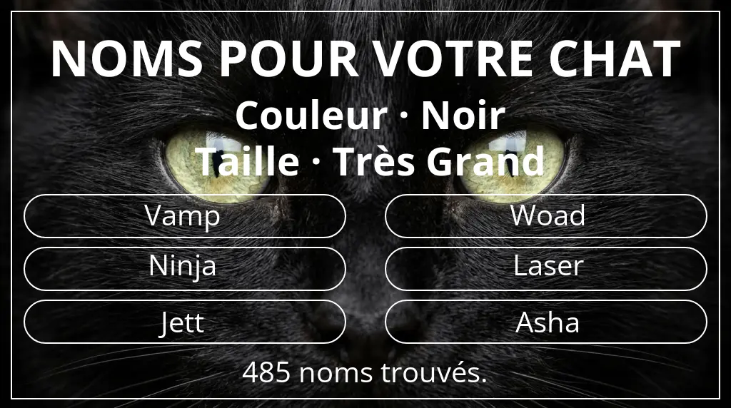 Noms de chats basés sur couleur noir et taille très grand