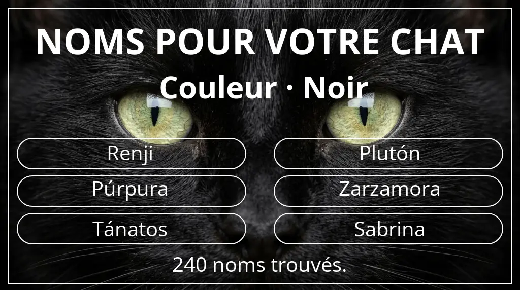 Noms de chats basés sur couleur noir