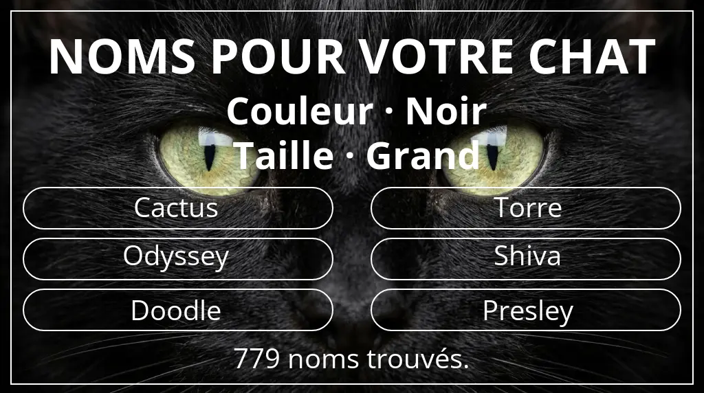 Noms de chats basés sur couleur noir et taille grand