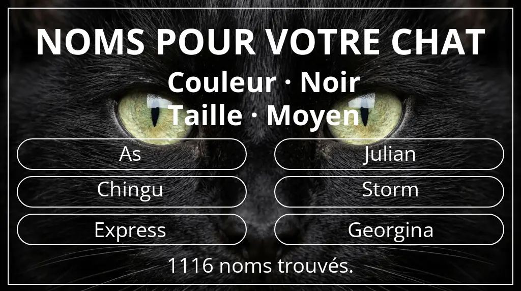 Noms de chats en lien avec couleur noir et taille moyen