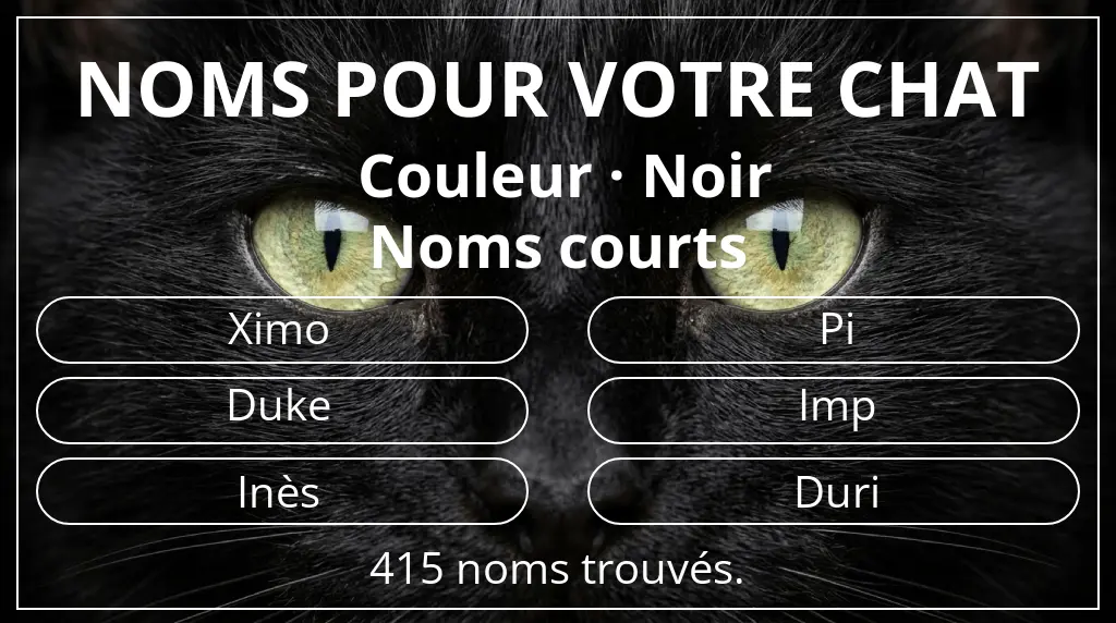 Noms pour chats basés sur couleur noir et longueur du nom court (2 à 4)