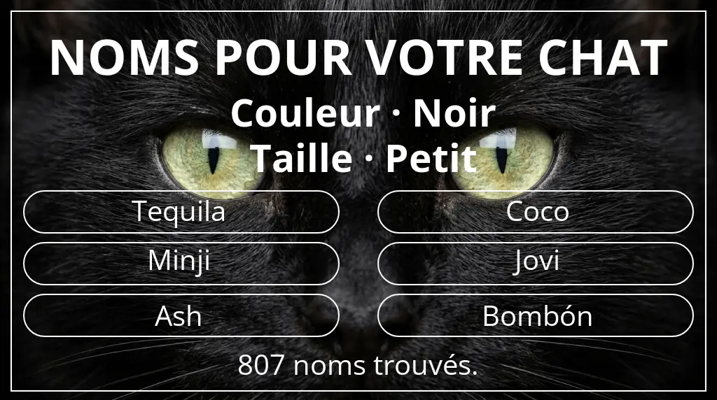 Noms pour chats en lien avec couleur noir et taille petit