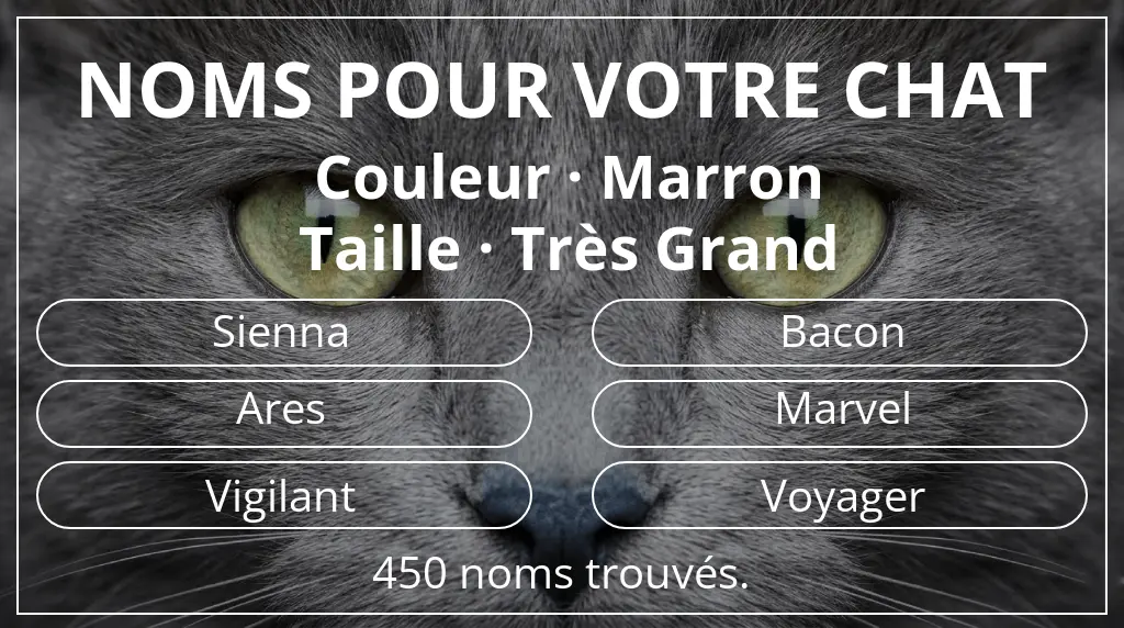 Noms de chats inspirés de couleur marron et taille très grand
