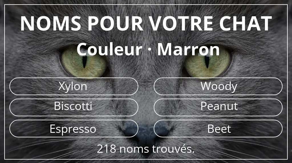 Noms de chats inspirés de couleur marron