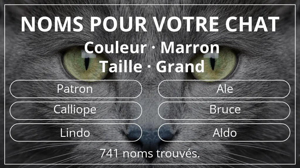 Noms félins basés sur couleur marron et taille grand