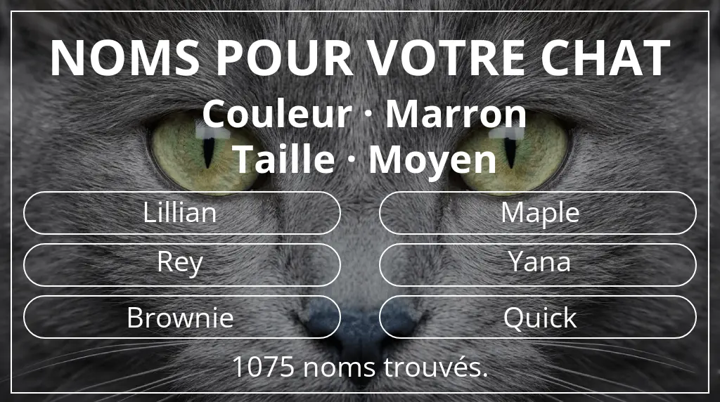 Noms félins basés sur couleur marron et taille moyen