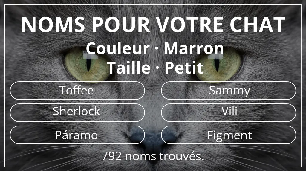 Noms de chats en lien avec couleur marron et taille petit