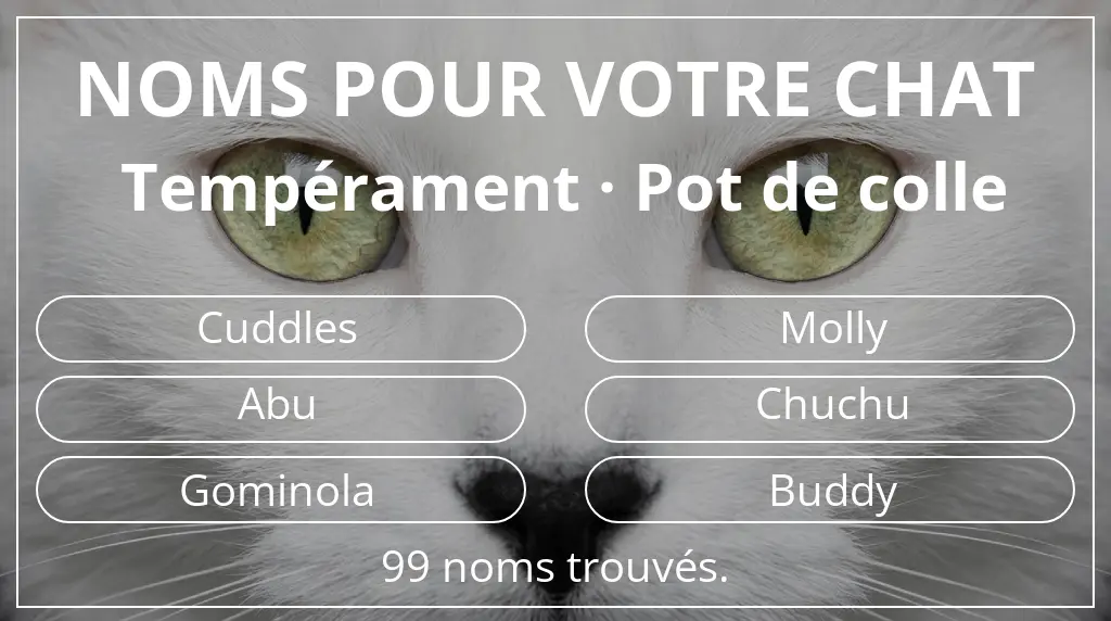 Noms pour chats inspirés de tempérament pot de colle