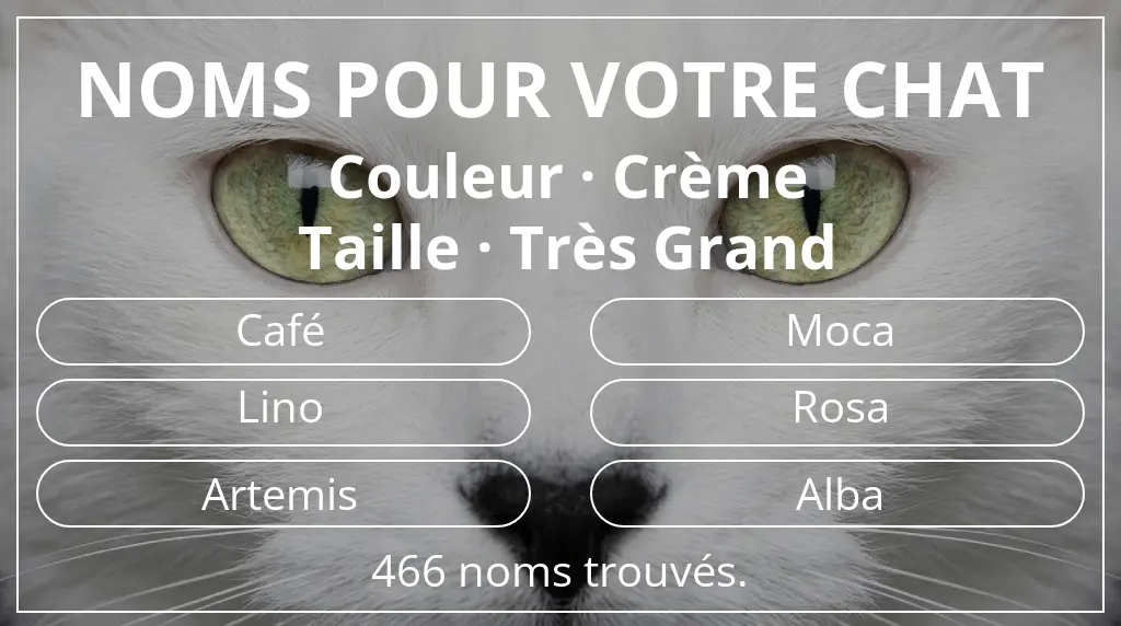 Noms félins basés sur couleur crème et taille très grand