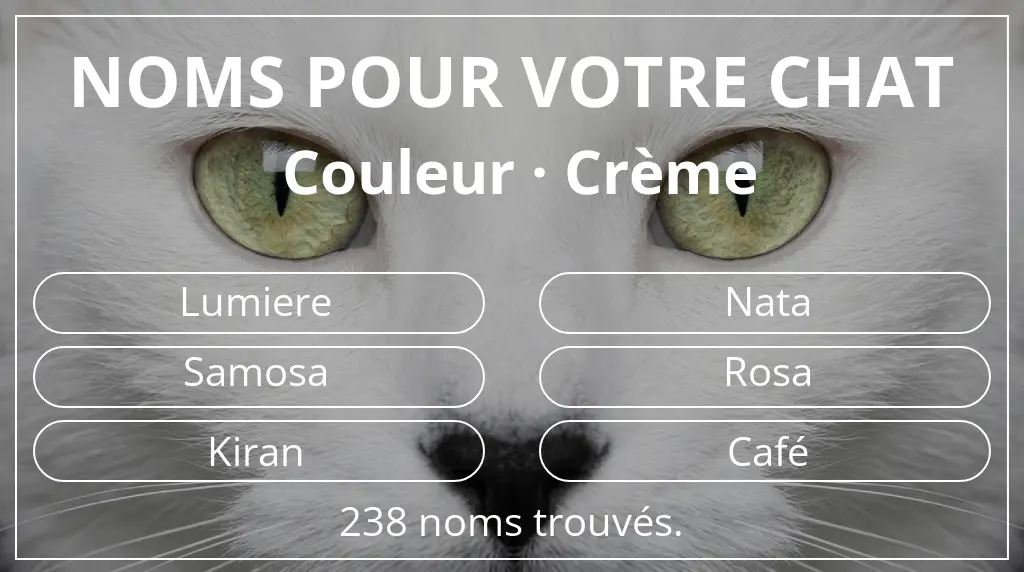 Noms pour chats inspirés de couleur crème