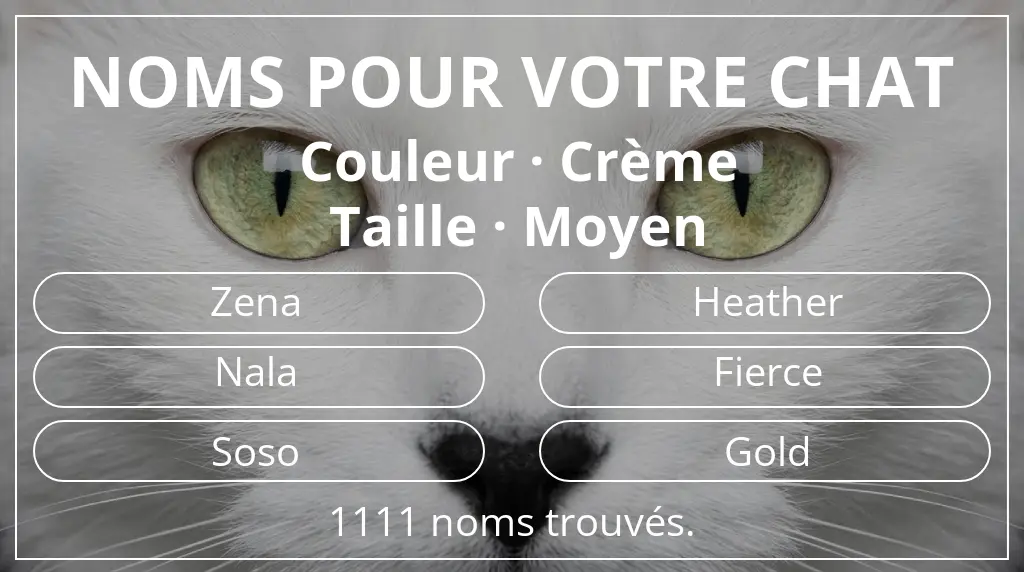 Noms pour chats basés sur couleur crème et taille moyen