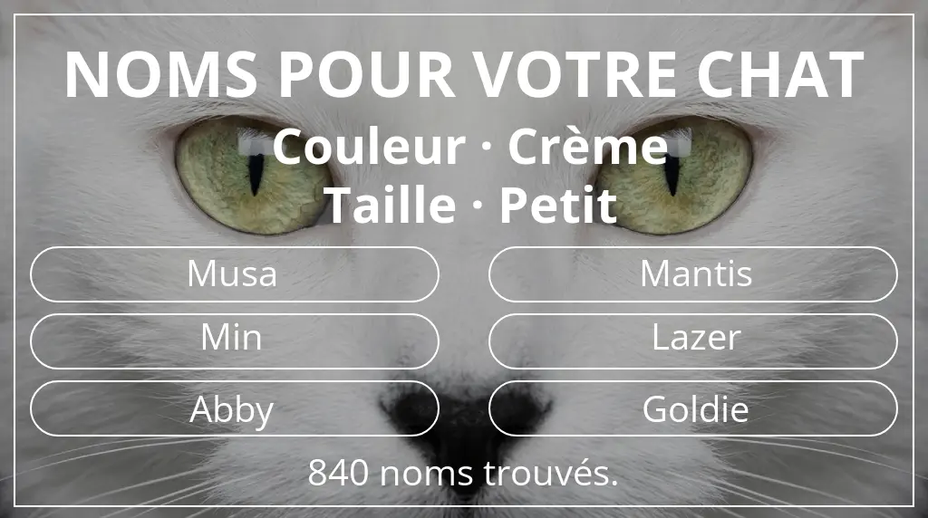 Noms félins inspirés de couleur crème et taille petit