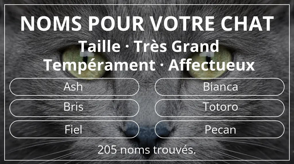 Noms de chats inspirés de taille très grand et tempérament affectueux