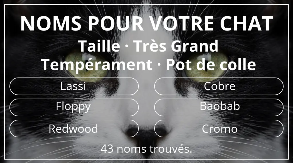 Noms félins basés sur taille très grand et tempérament pot de colle