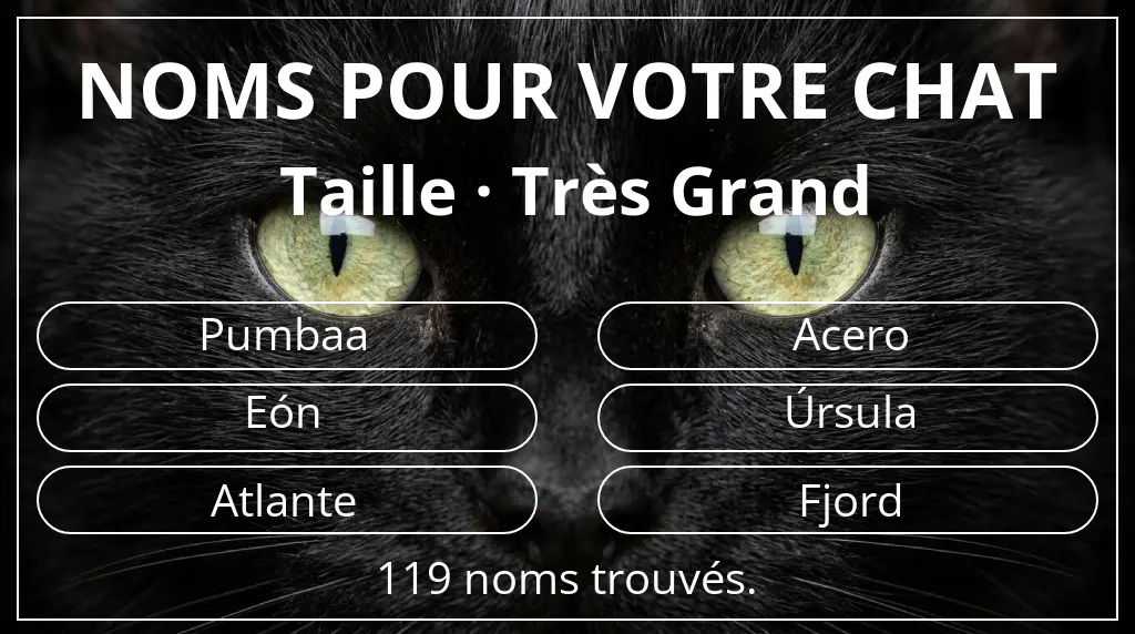 Noms de chats basés sur taille très grand