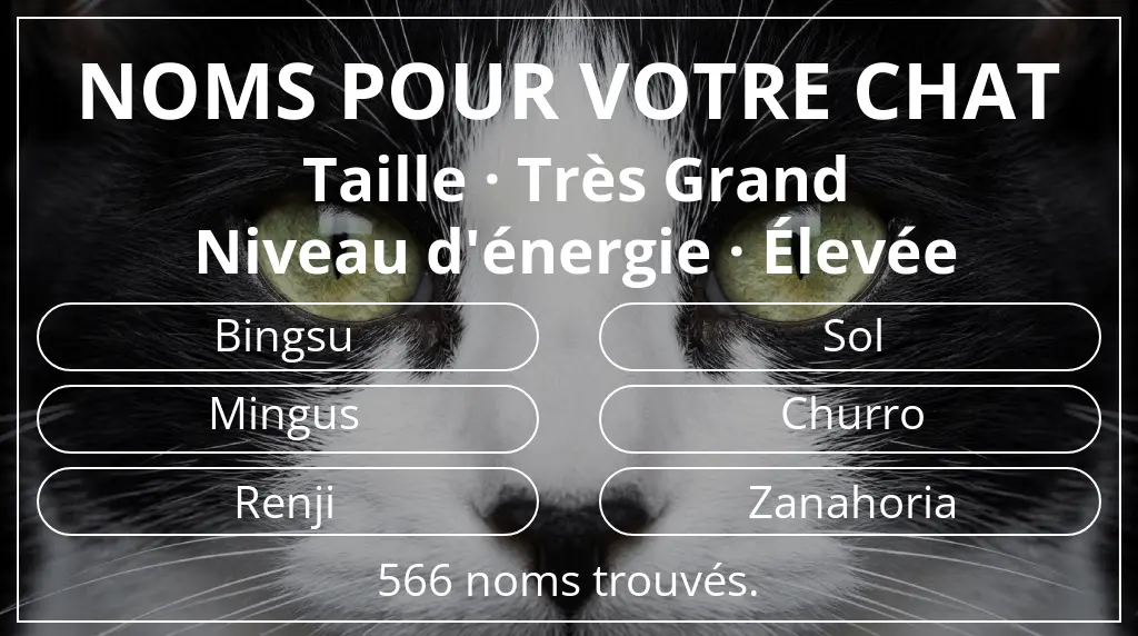 Noms félins en lien avec taille très grand et niveau d'énergie élevée